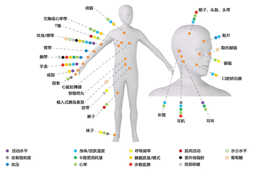 穿戴式和植入式电子设备应用于人体生理指标监测示意图