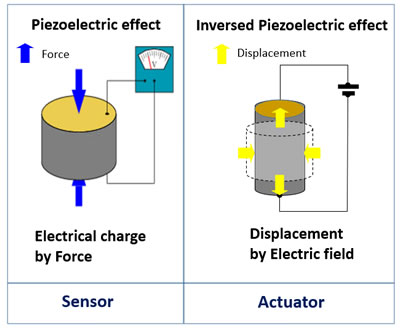 压电材料的正压电效应（可用于传感器）和逆压电效应（可用于执行器）