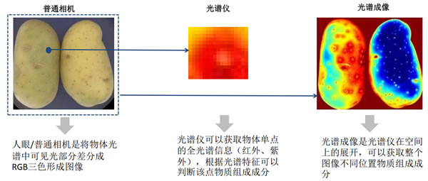 普通相机 vs. 光谱仪 vs. 光谱成像