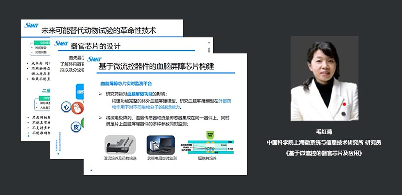 中国科学院上海微系统与信息技术研究所研究员毛红菊:基于微流控的器官芯片及应用