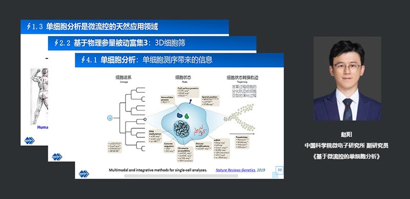 中国科学院微电子研究所副研究员赵阳:基于微流控的单细胞分析