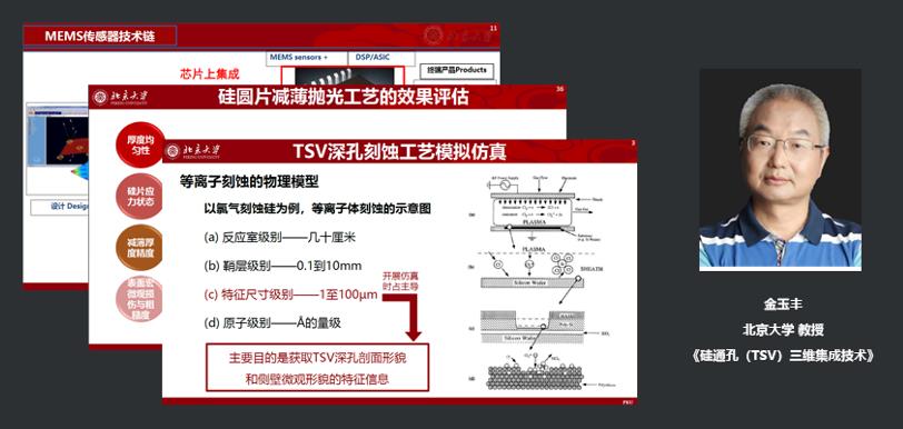北京大学教授金玉丰：硅通孔（TSV）三维集成技术